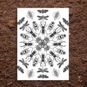 "Caleidoscopio Insectos"